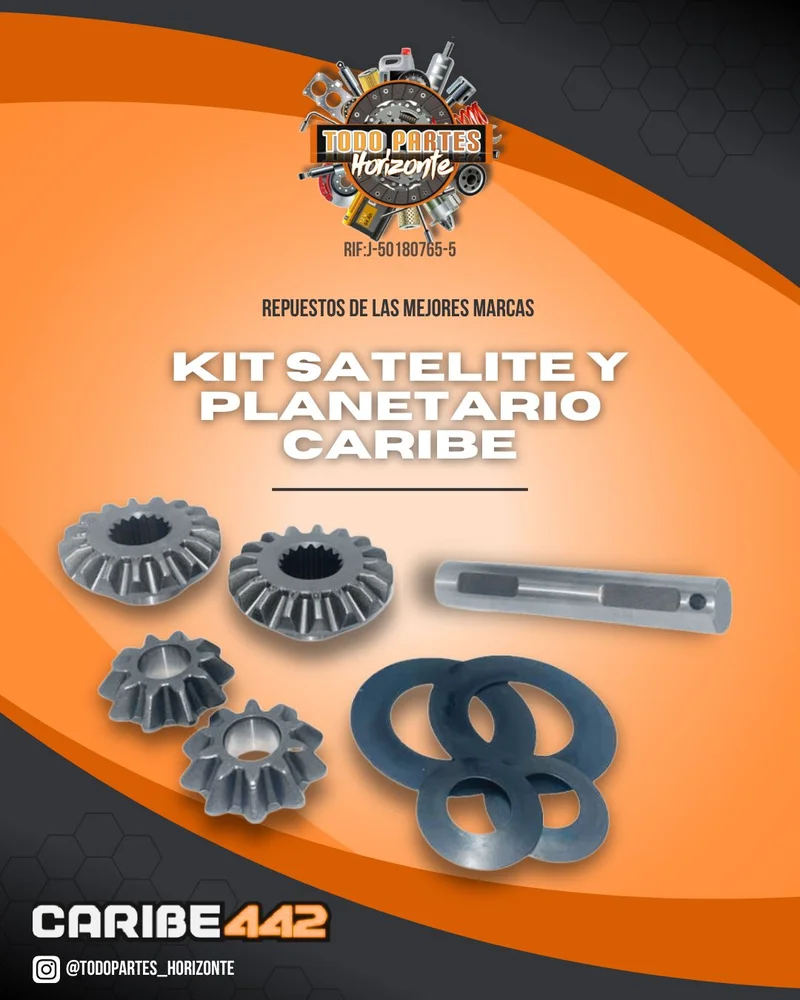 Repuesto KIT SATELITE Y PLANETARIO CARIBE original