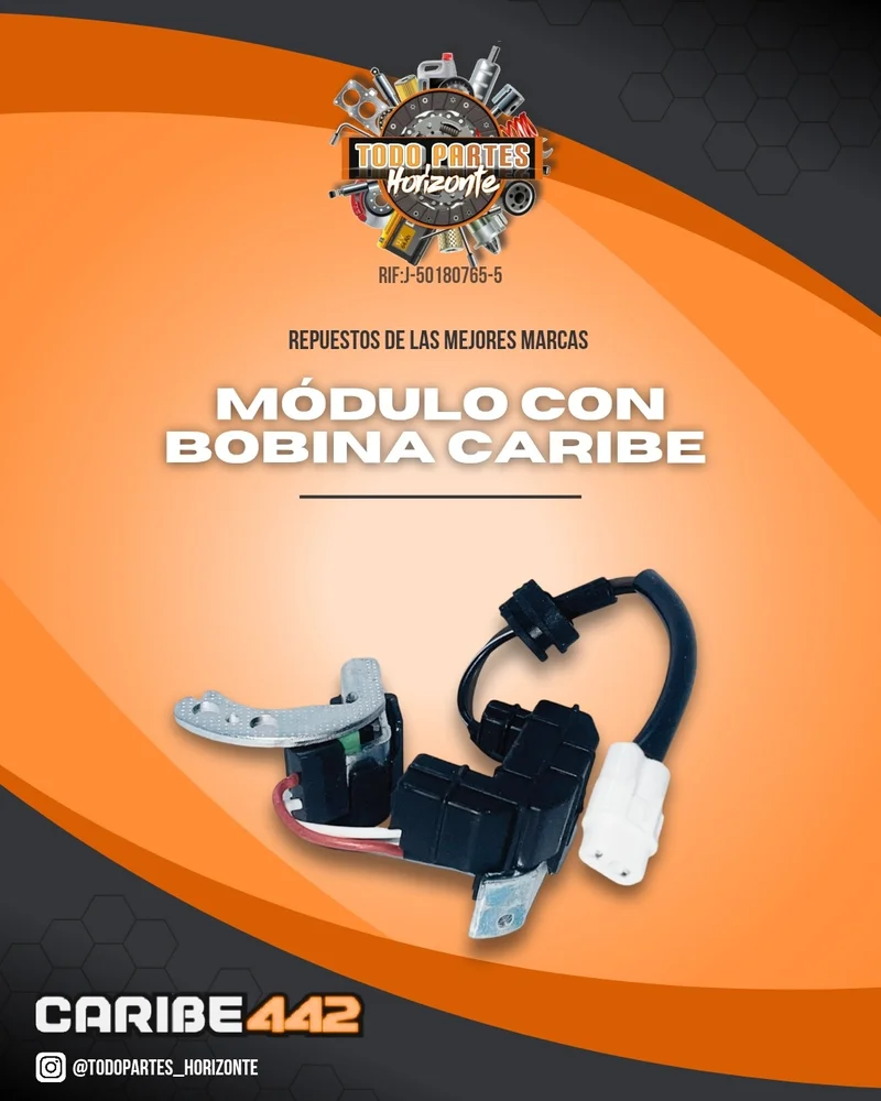 Repuesto MODULO CON BOBINA CAPTADORA CARIBE original
