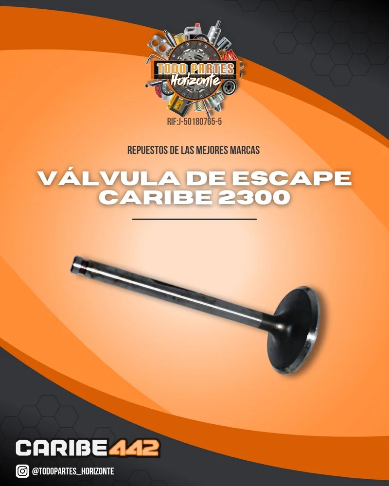 Repuesto VÁLVULA DE ESCAPE CARIBE 2300 original