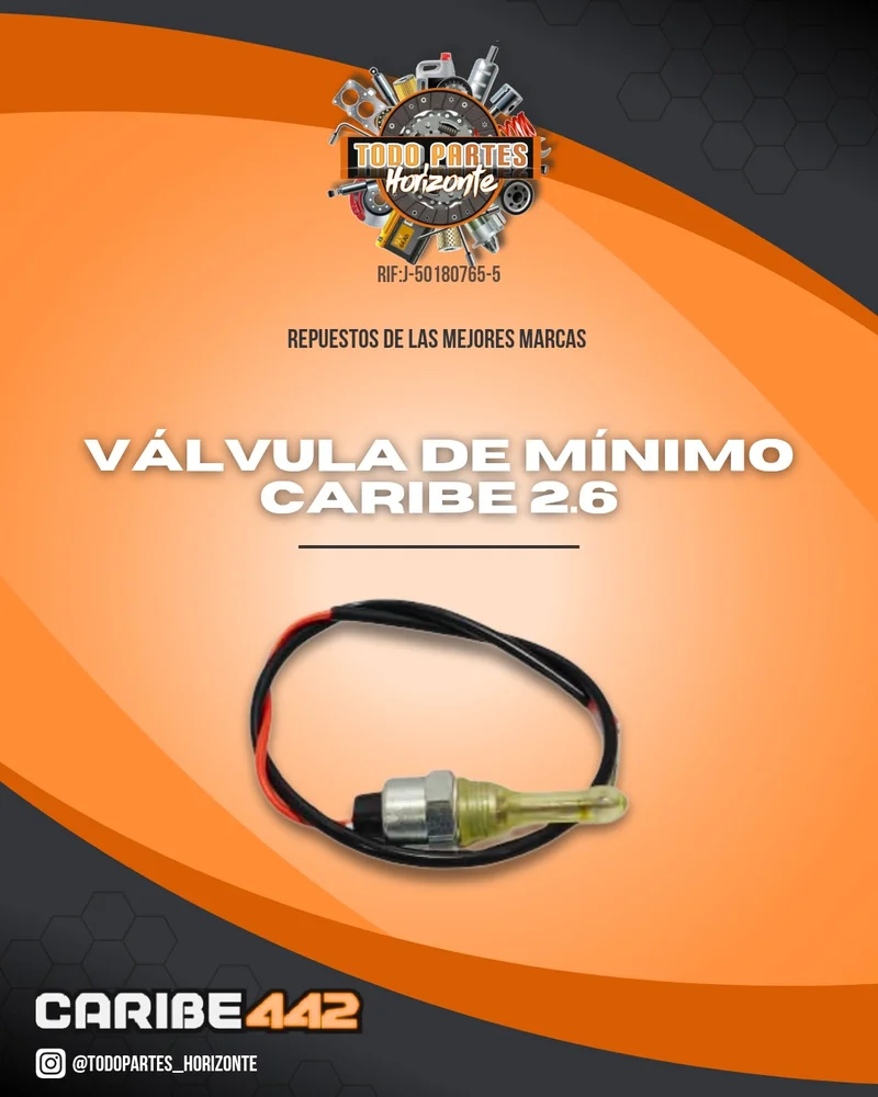 Fotografía de repuesto Válvula De Minimo Caribe 2.6 original - Todo Partes Horizonte