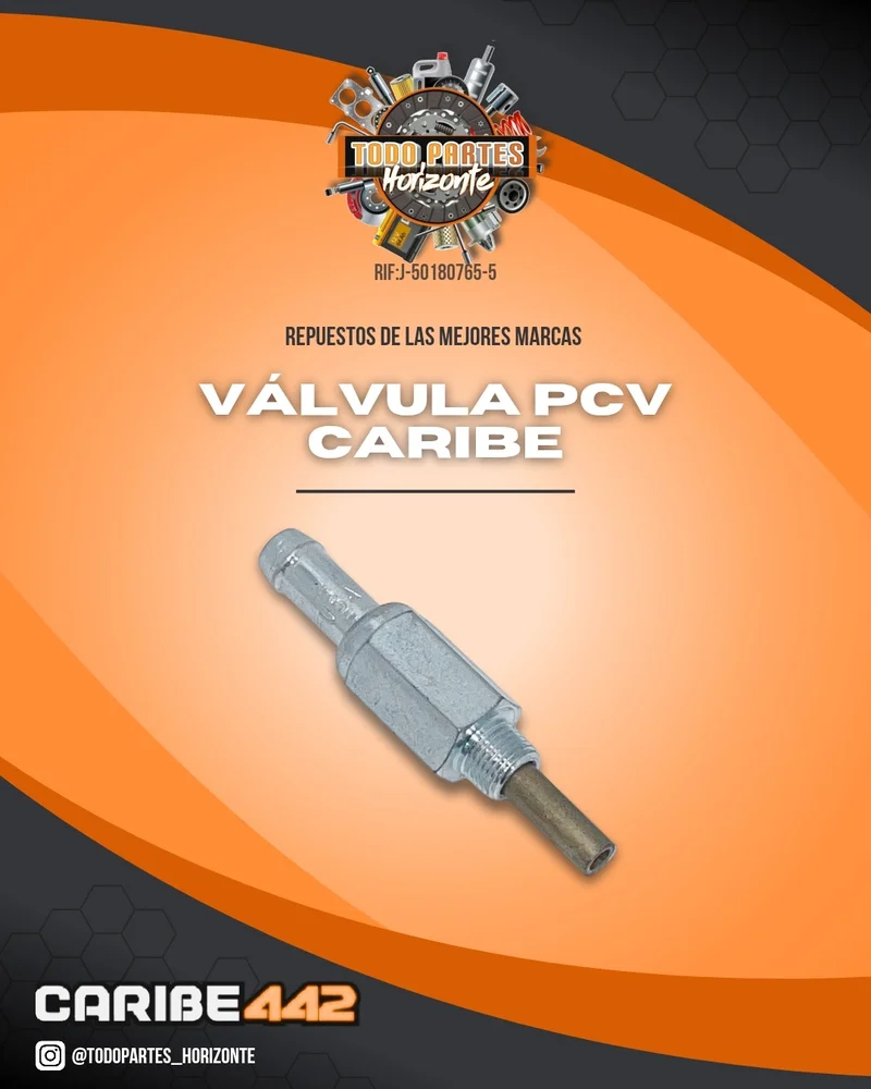 Repuesto VÁLVULA PCV CARIBE original